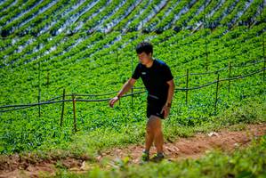 BIB: 
                            <button type="button" onclick="openModal(19164525)" class="btn btn-primary btn-sm float-right btn-popup" data-toggle="modal" data-target=".modal-high-quality">
                        <i class="fas fa-shopping-cart"></i> Add to Cart
                    </button>
                                            <button type="button" onclick="isThisMe(19164525, true)" class="btn btn-success btn-sm float-right btn-popup btn-isme hidden" data-toggle="tooltip" data-placement="bottom" title="นี่คือรูปของคุณใช่ไหม คลิกที่นี่เพื่อเอาเข้าอัลบั้ม">
                        <i class="fas fa-plus"></i> Add to album
                    </button>
                    <button type="button" onclick="isThisMe(19164525, false)" class="btn btn-warning btn-sm float-right btn-popup btn-isnotme hidden">
                        <i class="fas fa-ban"></i> Remove from album
                    </button>